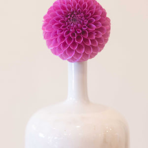 20th Ave Pure Prince