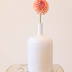 20th Ave Softer Peach