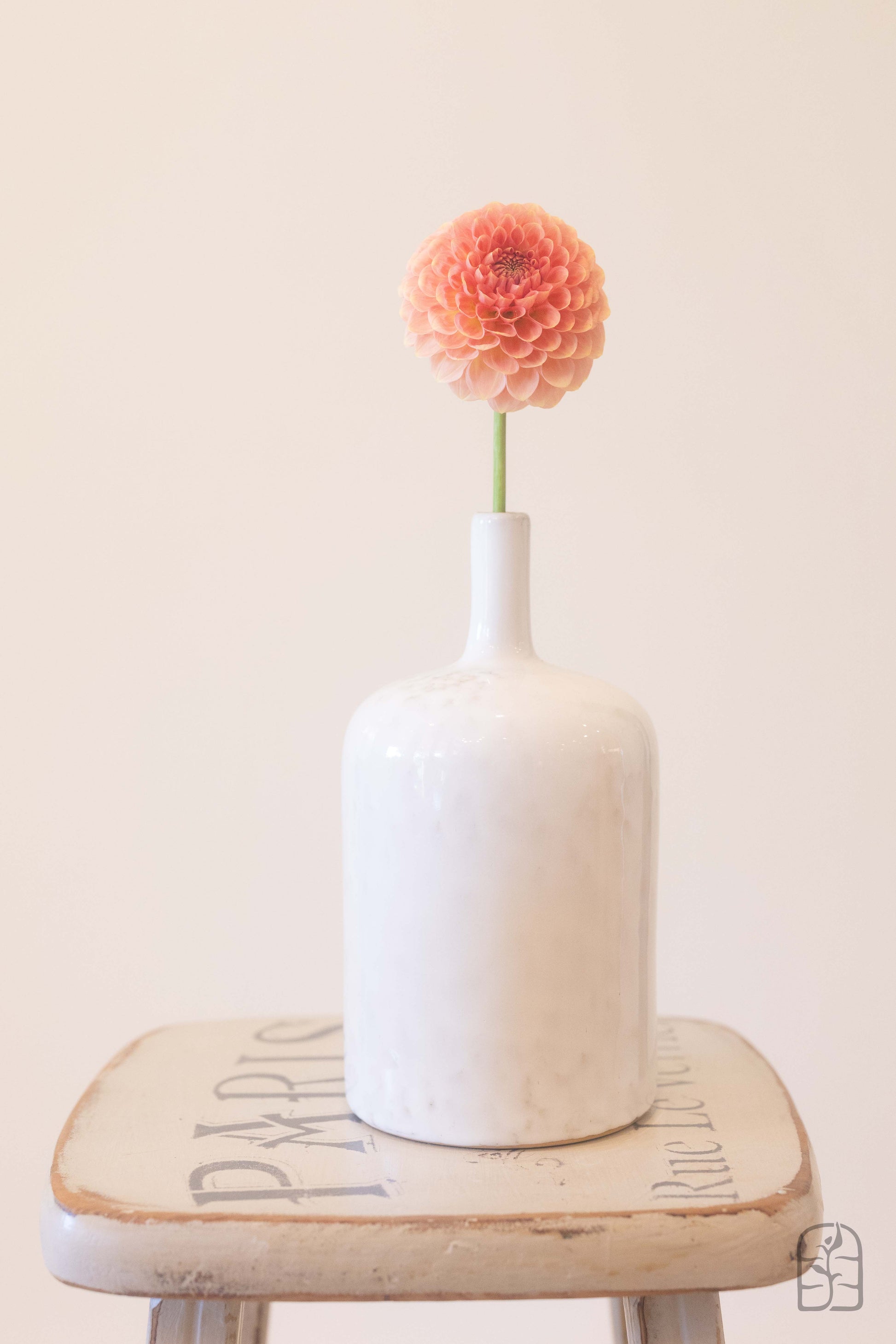 20th Ave Softer Peach