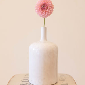 Bloomquist Pink Parfait