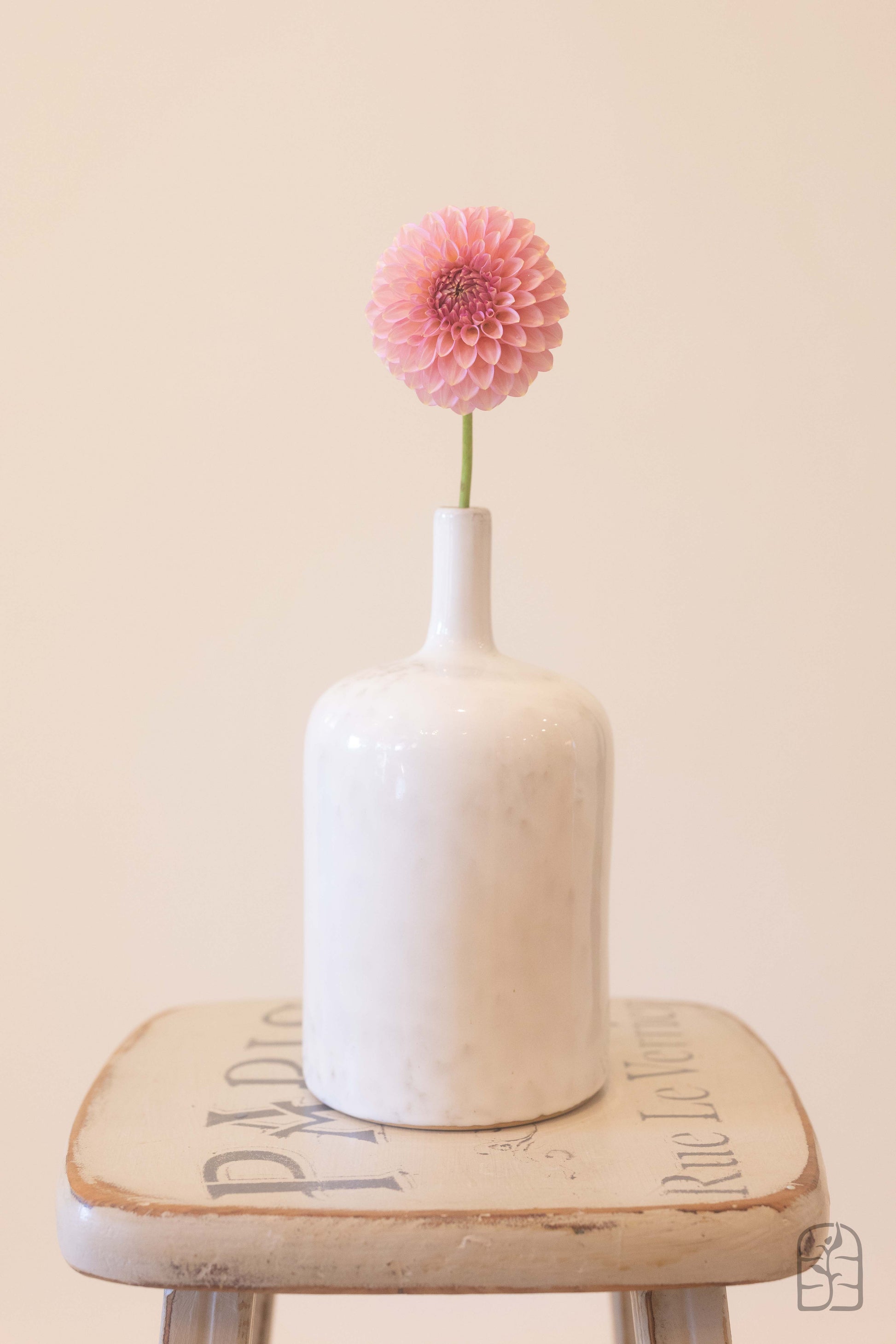 Bloomquist Pink Parfait