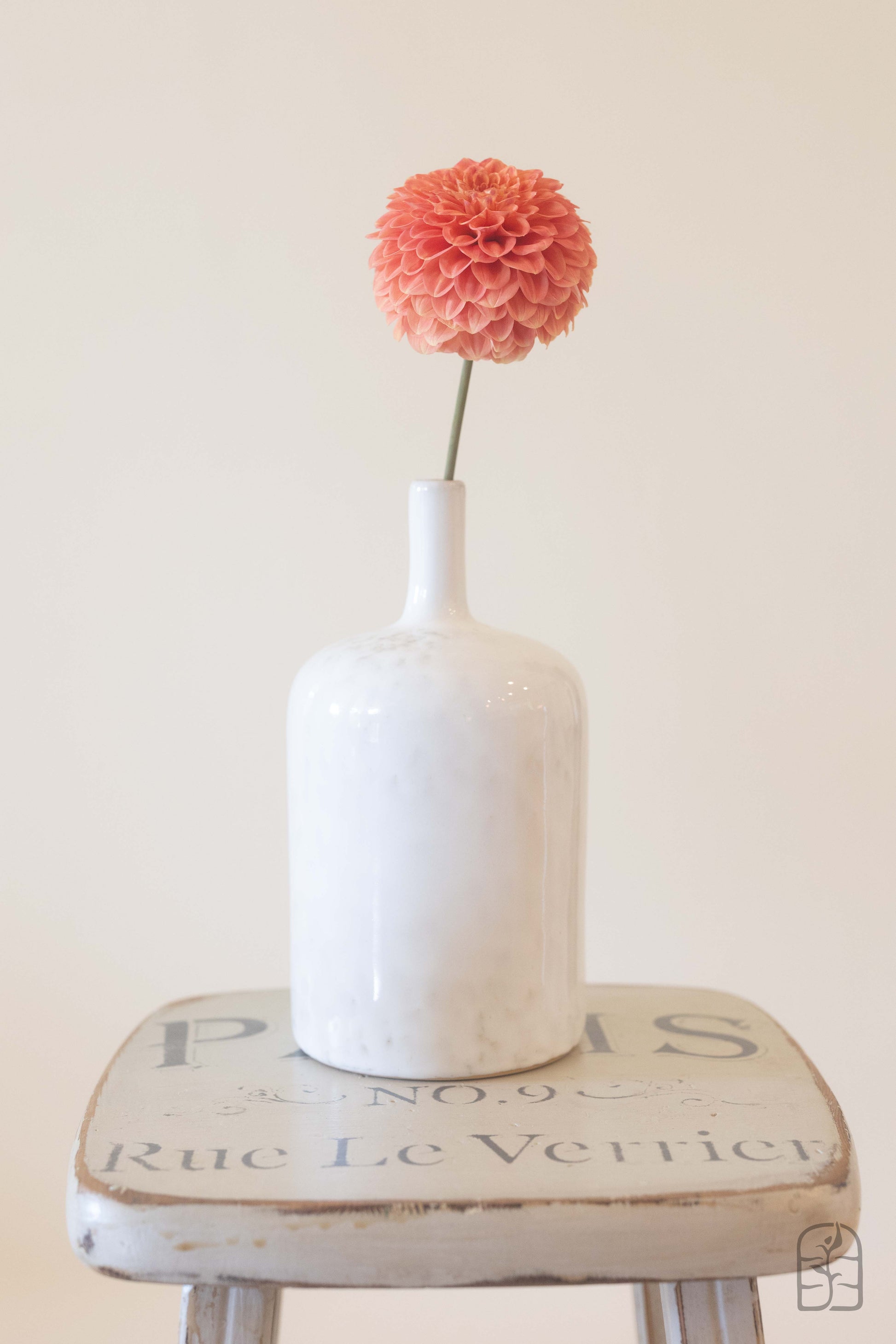 Caleb's Orange Crush