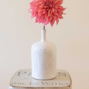 Carlos Watermelon 🇦🇺