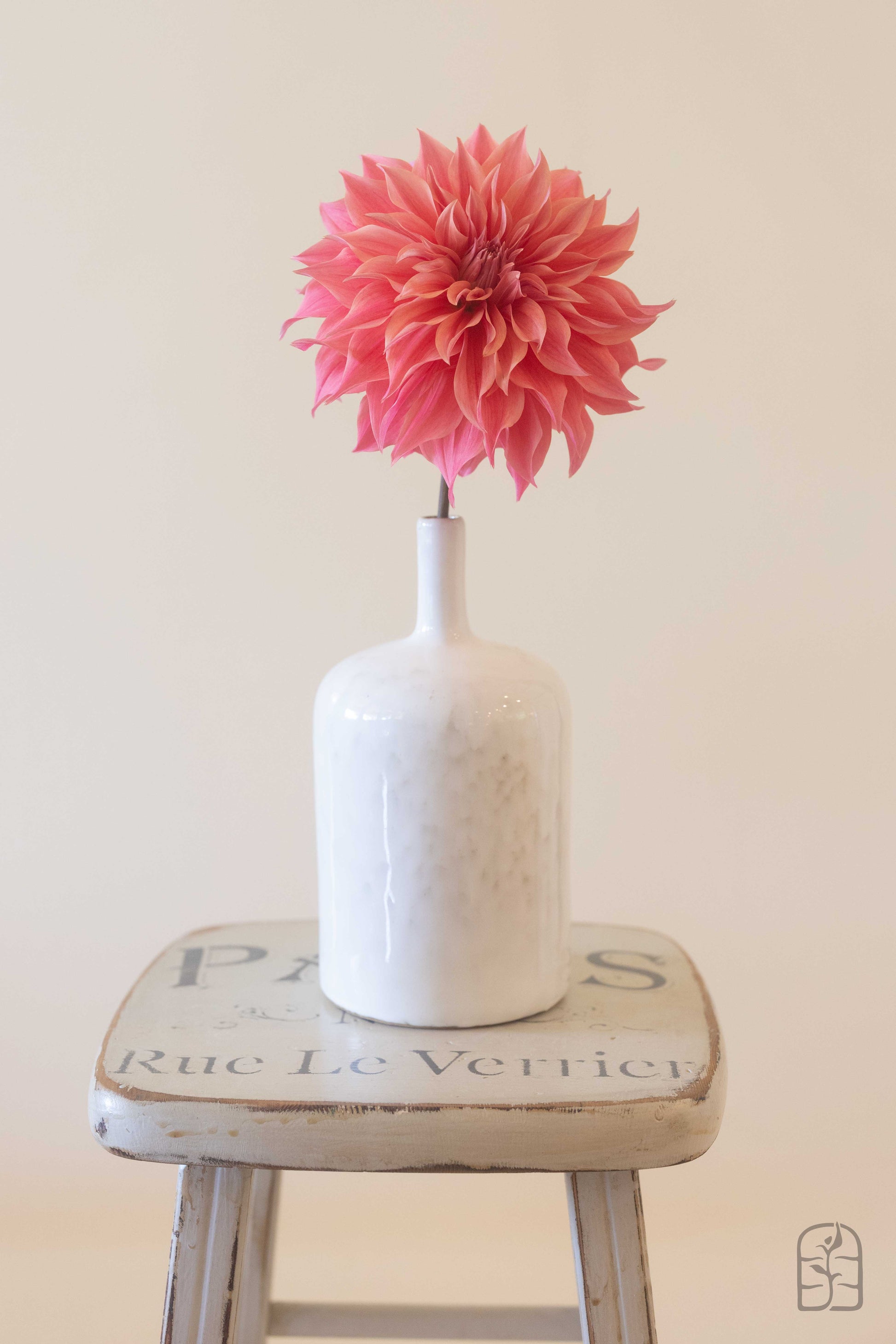 Carlos Watermelon 🇦🇺