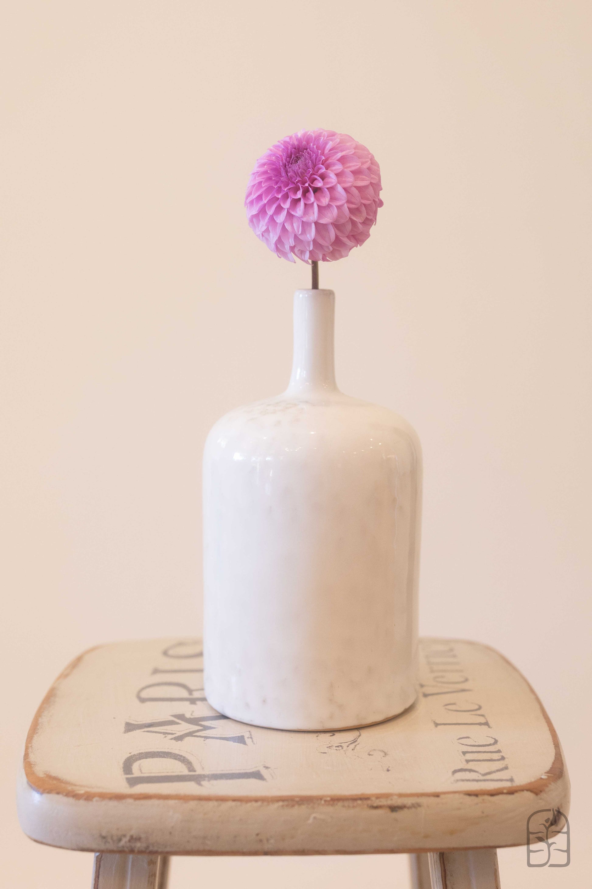 Glenmarc Connie 🇦🇺