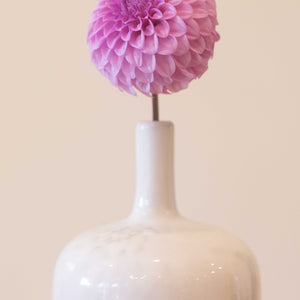 Glenmarc Connie 🇦🇺