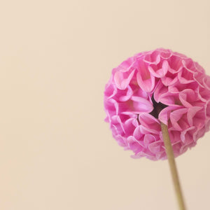 Glenmarc Connie 🇦🇺