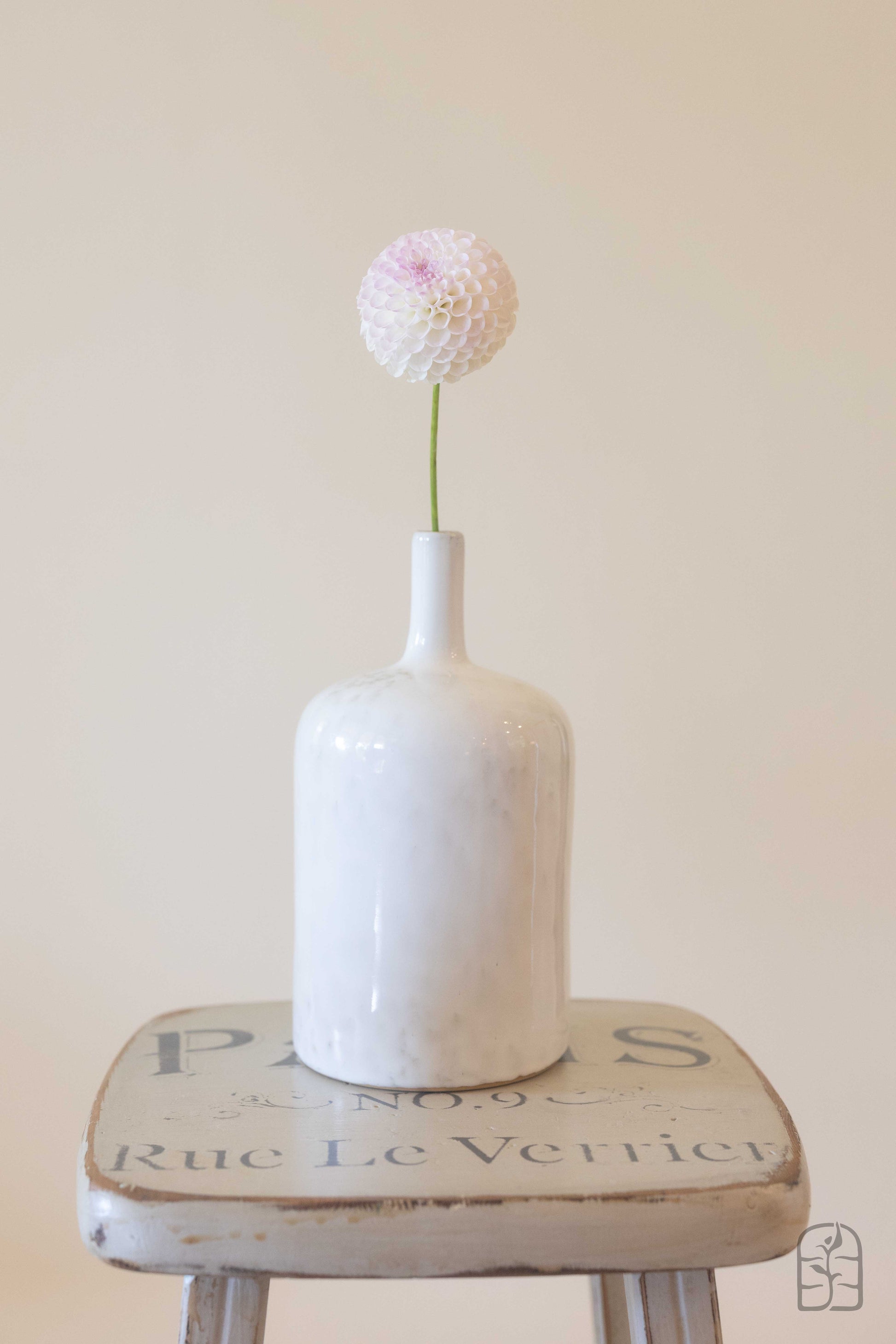 Hollyhill Miss White