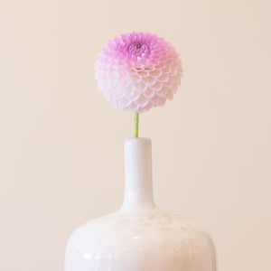 Westerton Ella Grace