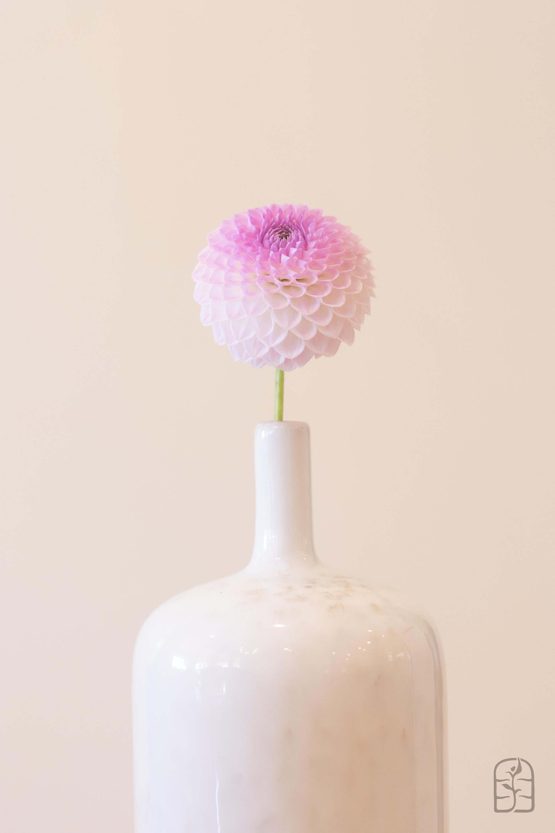 Westerton Ella Grace