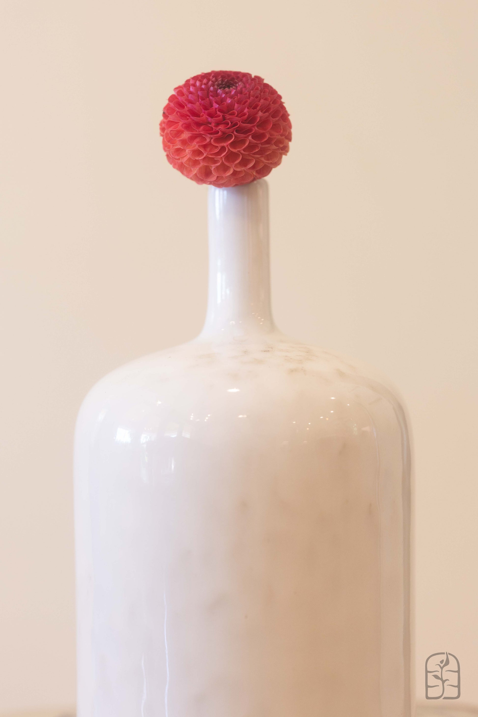 Winkie Lambrusco 🇦🇺